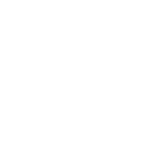 Vision Icon